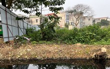 Phát triển nhà xã hội: Trên trải thảm, dưới rải đinh