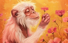 Nửa đời trước vất vả, nửa sau hưởng tài lộc, 5 con giáp này luôn tìm kiếm cơ hội trong nghịch cảnh, sớm muộn cũng được vận mệnh hồi đáp