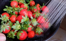 Chị em ở tuổi nào cũng nên dùng ngay 4 "món" để giải độc cơ thể, giúp giảm mụn và tái tạo tế bào da