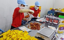 Doanh nghiệp xuất khẩu lo lắng