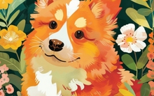 Phụ nữ 4 con giáp này được hưởng phúc về đường tình duyên, càng lớn tuổi càng hấp dẫn