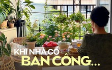 Không nghe lời can ngăn, quyết mở ban công nhà chung cư để "chill", người phụ nữ nhận cái kết khiến dân tình trầm trồ