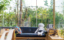 Mua một mảnh đất trống giữa rừng, cô gái trẻ tự tay biến nơi đây thành ngôi nhà bình yên