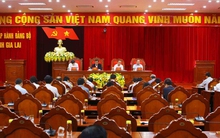 Gia Lai xử lý 18 đảng viên mắc sai phạm liên quan Công ty AIC