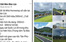 Sập bẫy "lùa gà" đi tỉnh mua đất nền