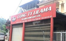 Thủ đoạn ‘rửa tiền’ của Giám đốc Công ty Lilama