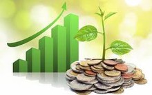 Lịch chốt quyền cổ tức tuần 22-26/4: Cổ tức tiền mặt cao nhất 25%