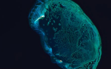 Google Doodle tôn vinh Ngày Trái đất 2024 bằng không ảnh hành tinh xanh