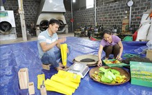 Tích cực triển khai dự án sinh kế, giúp người dân miền núi thoát nghèo