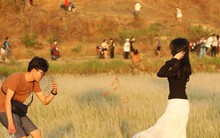 Đồng cỏ lau ở ngoại ô TPHCM đẹp như tranh khiến giới trẻ mê mẩn