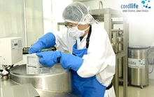 Bê bối chưa từng có ở ngân hàng máu cuống rốn trải rộng khắp châu Á: Cha mẹ phải chi trả bao nhiêu cho dịch vụ này?