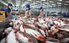 Vĩnh Hoàn xin lùi hạn nộp BCTC quý I/2024 tới ngày 15/5