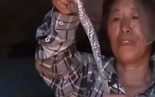 Tốt bụng “cưu mang” 1 con rắn, vài ngày sau người phụ nữ tái mặt với cảnh tượng này: Tôi đã rất sợ hãi!