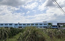 Nợ bảo hiểm hơn 7 tỉ đồng, công ty âm thầm "tháo chạy"