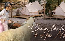 Nghỉ lễ không đi đâu, ở Hà Nội cũng vui chẳng kém: Cưỡi ngựa giữa lòng thành phố, ngắm sông Hồng trên du thuyền hạng sang... cả gia đình không lo "rảnh"!