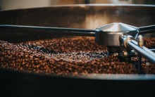 Thái Lan đang mạnh tay săn lùng một báu vật tiền tỷ của Việt Nam: xuất khẩu tăng hơn 200%, giá trong nước tăng không ngừng nghỉ