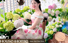 Vườn cẩm tú cầu trên không hút hơn 10.000 like, dân mạng trầm trồ: Không cần đi Đà Lạt cũng được "chữa lành"