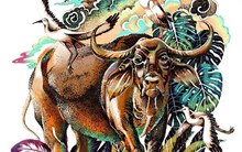 Từ tháng 5-7 tới đây, 4 con giáp qua thời vất vả để đón ngàn may mắn, là cơ hội vàng để kiếm tiền