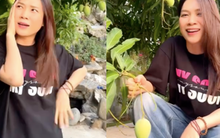 Mỹ Tâm flex điều "độc nhất vô nhị" bên trong khu nhà sân vườn từng lộ hint thả diều với Mai Tài Phến