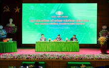 Nhựa Tiền Phong muốn đầu tư tổ hợp giáo dục tại Hải Phòng, chia sẻ lý do lợi nhuận chưa được 1.000 tỷ như "người em" phương Nam