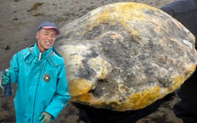 Ngư dân đánh cá bất ngờ vớt được khối đá tỏa mùi hương ngào ngạt, sau khi đốt phát hiện là “vàng miếng chìm nổi giữa đại dương”