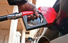 Giá dầu trung bình năm nay ra sao? World Bank tung dự báo khiến nhiều quốc gia nhập khẩu thở phào