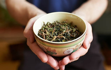 Sở hữu chuỗi cà phê vạn người mê, người Mỹ vẫn mạnh tay gom "vàng xanh" của Việt Nam về uống, xuất khẩu tăng hơn 100% trong 2 tháng đầu năm