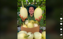 Thu 100 tỷ đồng từ bán nông sản trên nền tảng TikTok