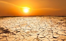 Thuỷ điện gặp khó, REE báo lãi quý 1 giảm gần 50%