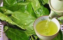 1 loại lá là “thuốc kiểm soát đường huyết” tốt ngang “insulin tự nhiên”, còn giúp dưỡng gan hiệu quả: Rất sẵn ở Việt Nam