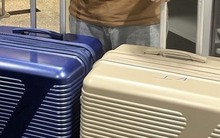 Giấu tôm hùm giống trong vali để đưa từ Singapore về Đà Nẵng