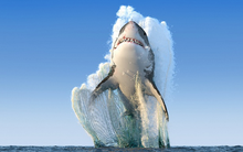 Khối ngoại bất ngờ đảo chiều mua ròng sau 16 phiên "xả" kịch liệt, cổ phiếu nào là tâm điểm?