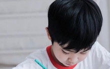 Bài văn tả con mèo "biến dị" khiến chính chủ 18 năm sau còn xấu hổ, xem ảnh đính kèm càng cười ná thở