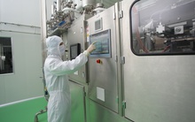 Traphaco đặt kế hoạch lợi nhuận 303 tỷ cho năm 2024, tham vọng lớn với mảng Tân dược 