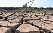 Tháng 3 ghi nhận một kỷ lục chưa từng có, khiến hàng loạt chuyên gia gióng hồi chuông báo động về xu hướng không thể đảo ngược