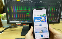 Duy trì chính sách margin hấp dẫn, lượng tài khoản chuyển về Pinetree tăng mạnh trong năm 2023