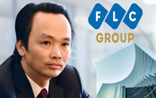 Lộ giá trị hợp đồng để công ty Kiểm toán 2 lần “chắp bút” chấp nhận toàn phần BCTC, tiếp tay Trịnh Văn Quyết nâng khống vốn điều lệ đưa Faros (ROS) lên sàn