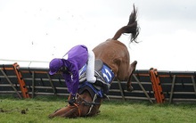 Đại gia xăng dầu 'lâm nạn', toàn bộ HĐQT từ chối nhận thù lao: Bị cưỡng chế 1.000 tỷ tiền thuế, báo lỗ 2 quý liên tiếp, cổ phiếu vẫn tăng trần 3 phiên