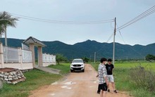 Đất nền Củ Chi, Hóc Môn, Cần Giờ đã sôi động trở lại