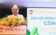 Bầu Đức khoe giá thành sầu riêng của HAGL chỉ có 15.000 đồng/kg, hứa xóa hết lỗ trong năm nay