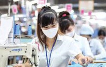 Nguồn FDI “rót” vào dệt may ồ ạt, làm thế nào để tận dụng hiệu quả?