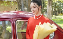 Trương Hồ Phương Nga bây giờ ra sao?