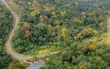 Phát triển thị trường tín chỉ carbon: Những yêu cầu đặt ra cho Việt Nam