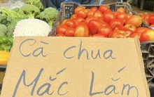 Giá cà chua tăng cao đột biến