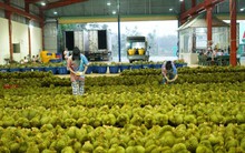 Trung Quốc mở cửa nhập khẩu, một nông sản của Việt Nam nhanh chóng chiếm thị phần từ Thái Lan: Nếu gỡ được "nút thắt" này có cơ hội thu tới 10 tỷ USD/năm