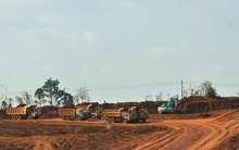 Kẹt giữa kho báu bô xít - kỳ 1: Nằm trên 'mỏ vàng' lớn nhất nước