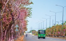 Tuyến đường độc đạo xuyên rừng đẹp như tranh ở TPHCM