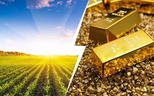 Mặc cơn sốt điên đảo của vàng, chuyên gia chỉ ra một loại tài sản có giá trị phòng ngừa lạm phát tốt hơn, tạo ra thu nhập ổn định: Rất nhiều người Việt đang sở hữu