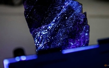 Doanh nghiệp Việt Nam "ôm" mỏ kim loại hiếm lớn nhất thế giới ngoài Trung Quốc vừa chứng kiến điều chưa từng xảy ra trong một năm qua