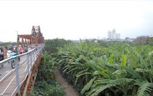 Công viên bãi giữa sông Hồng: Ưu tiên sinh thái hay thương mại?